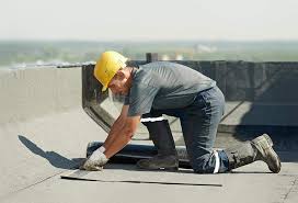 Best Roof Maintenance and Cleaning  in Mount Morris, MI